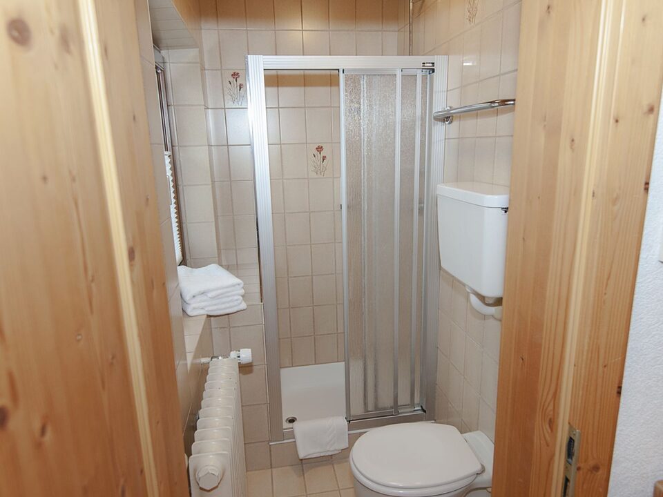 Bagno con doccia e WC